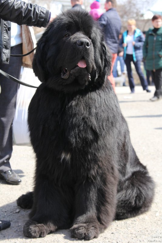 Фотография № 205372