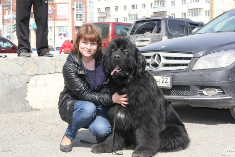 Фотография № 205373