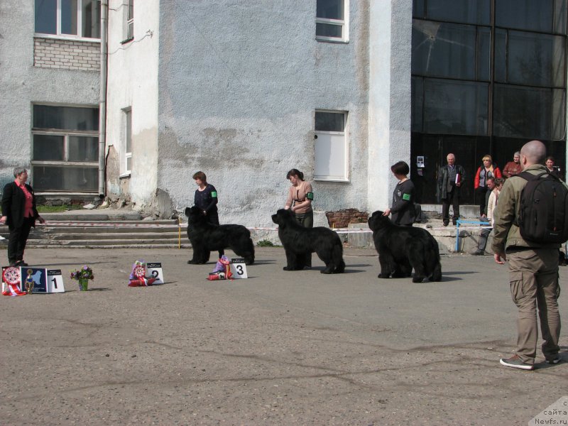 Фотография № 205374