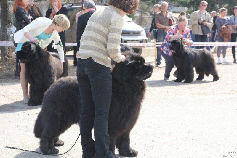 Фотография № 205376