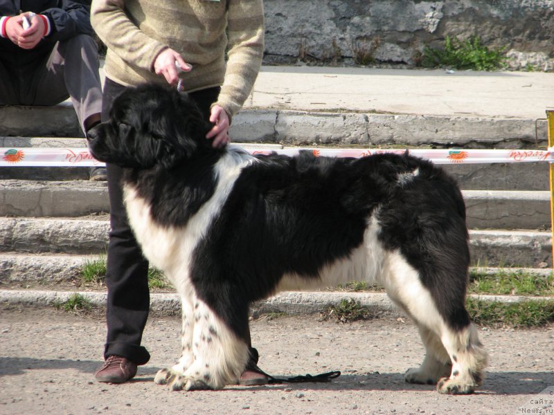 Фотография № 205377