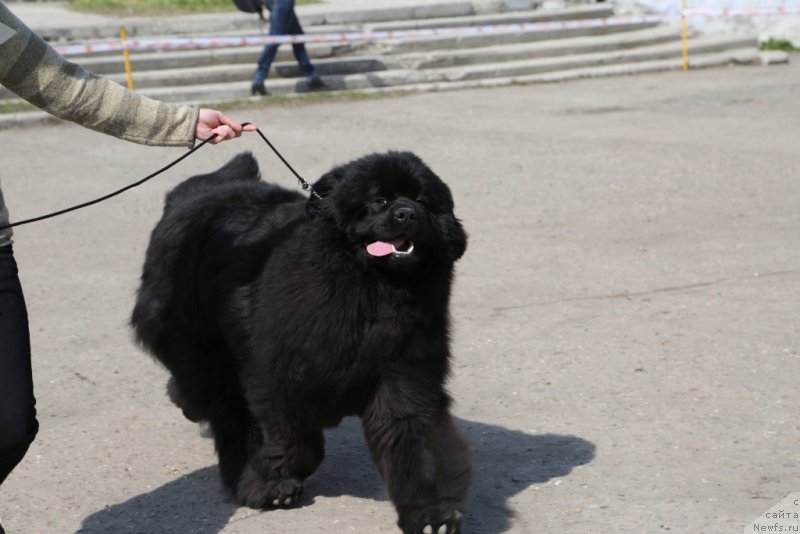 Фотография № 205386