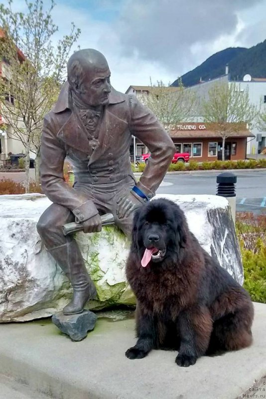 Фотография № 205390