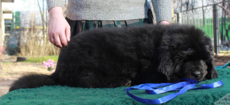 Фотография № 205391