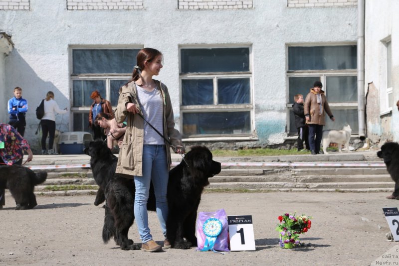 Фотография № 205399