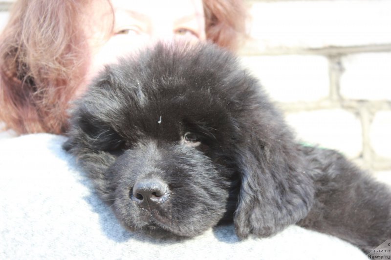 Фотография № 205408