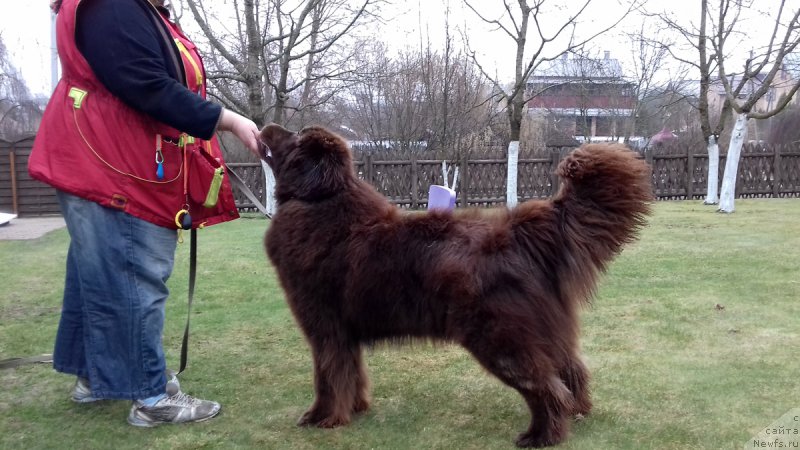 Фотография № 205429