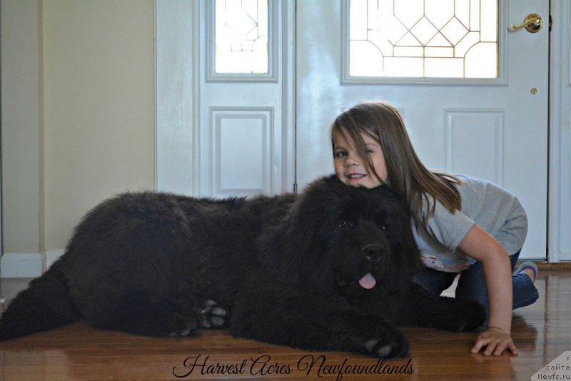 Фотография № 205434