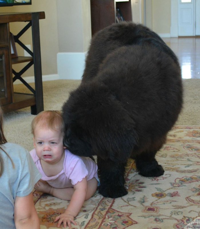 Фотография № 205437