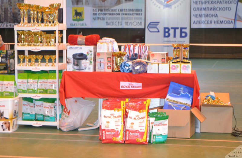 Фотография № 205438