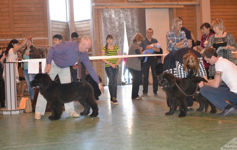 Фотография № 205441