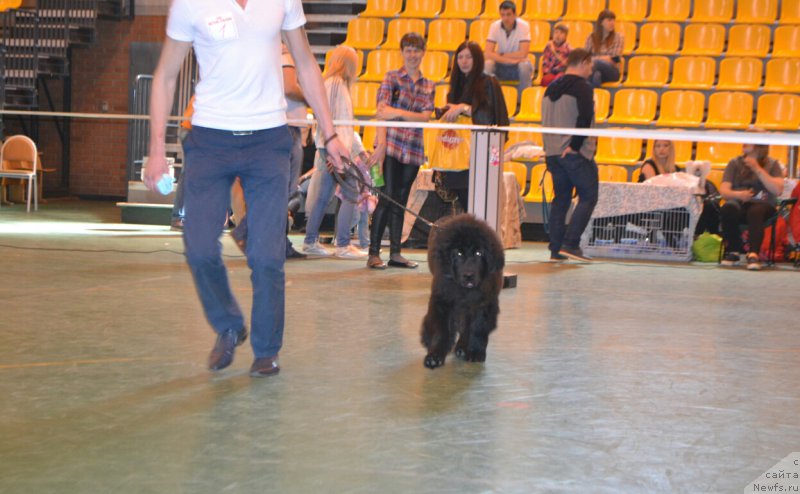 Фотография № 205443