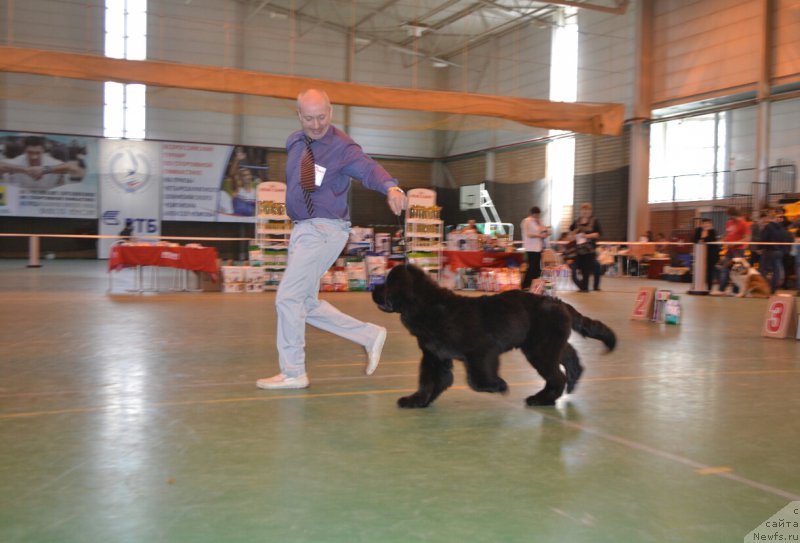 Фотография № 205445