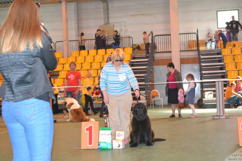 Фото: Гран-При Тольятти Спарта