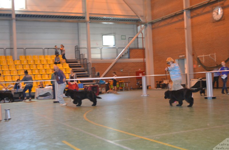 Фотография № 205448