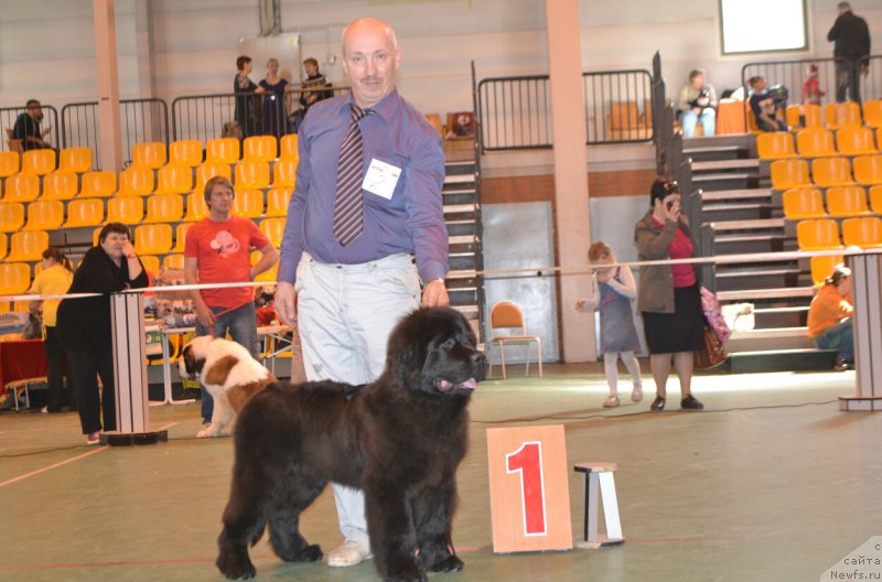 Фотография № 205449