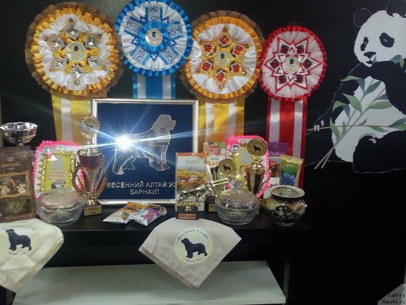 Фотография № 205453