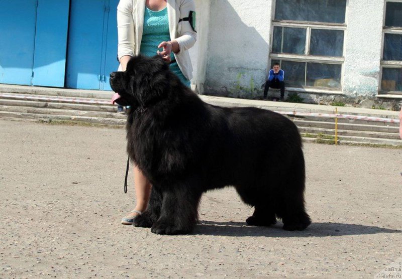 Фотография № 205455