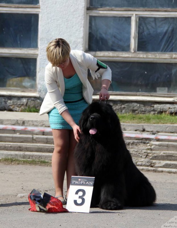 Фотография № 205456