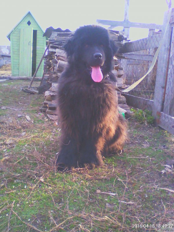 Фото: Ольга Охотникова