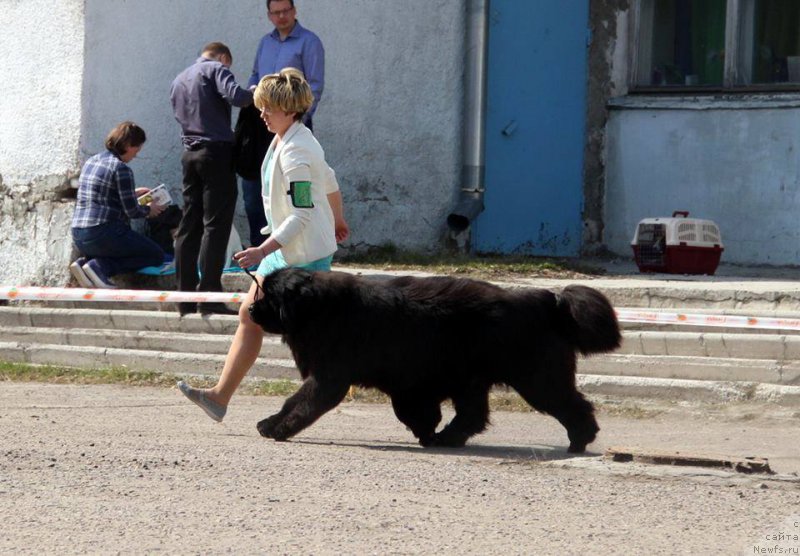 Фотография № 205458