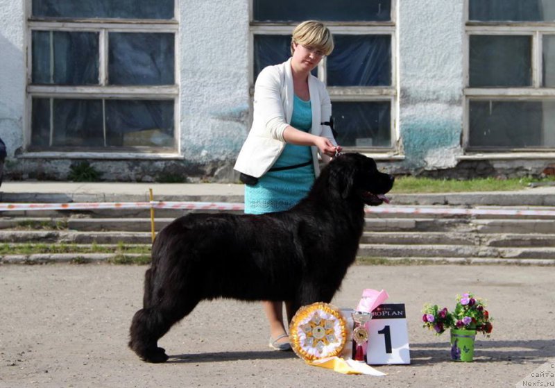 Фотография № 205460