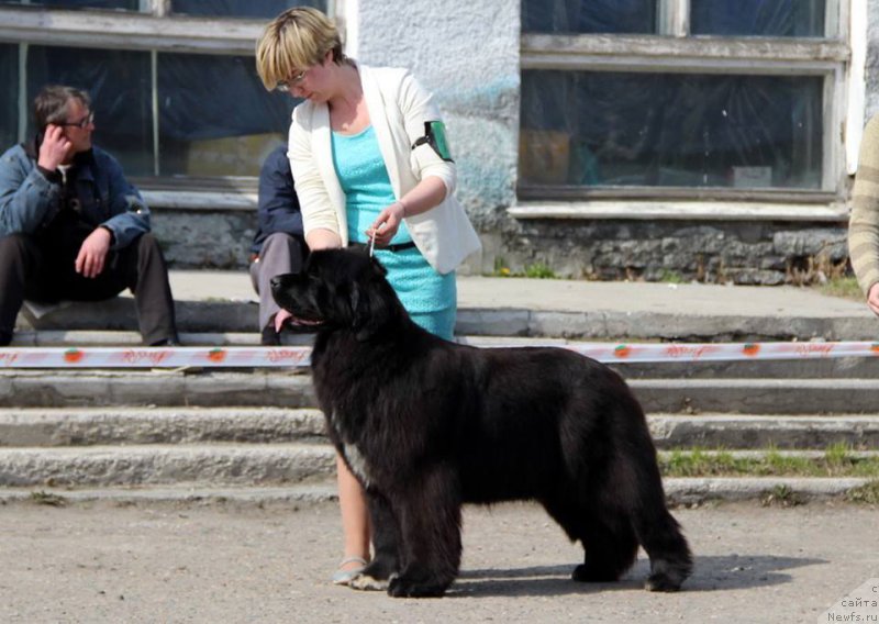 Фотография № 205463