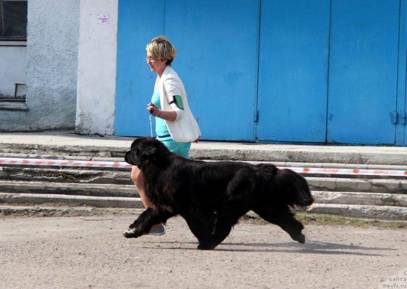 Фотография № 205470