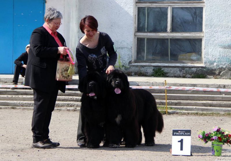 Фотография № 205473