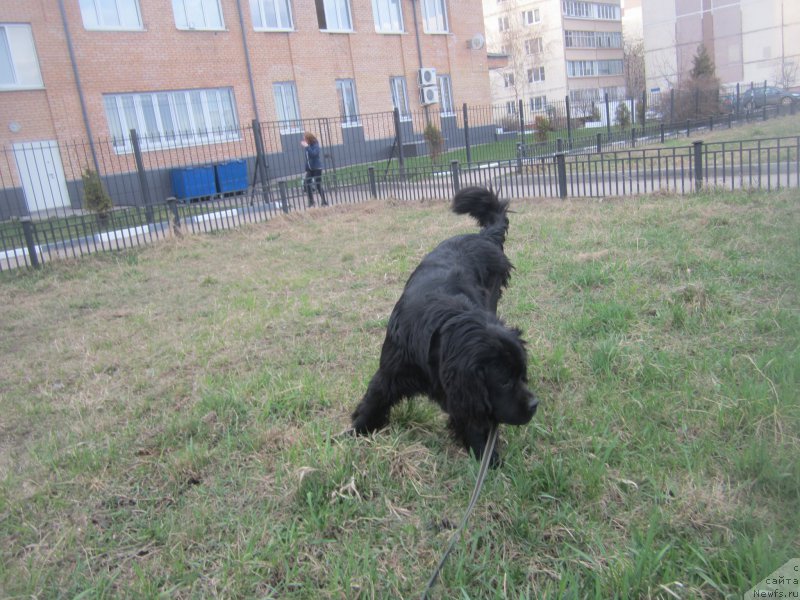 Фото: Наталья Смазчикова