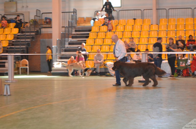 Фотография № 205494