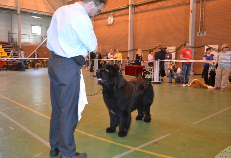 Фотография № 205496