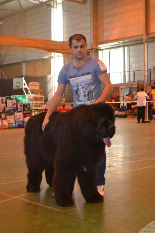 Фотография № 205498