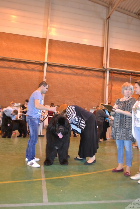 Фотография № 205499