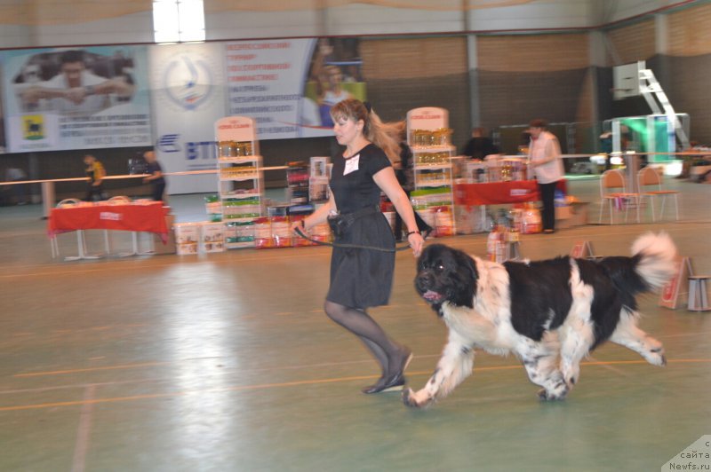 Фотография № 205500