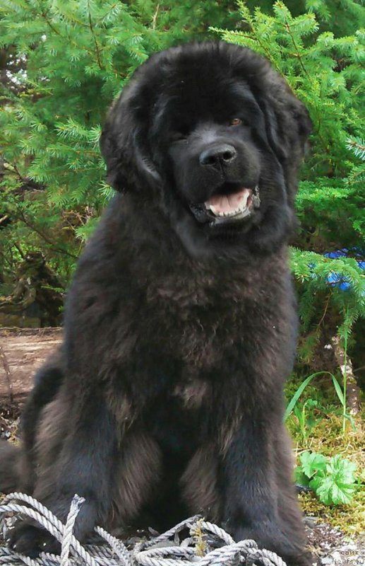 Фотография № 205502