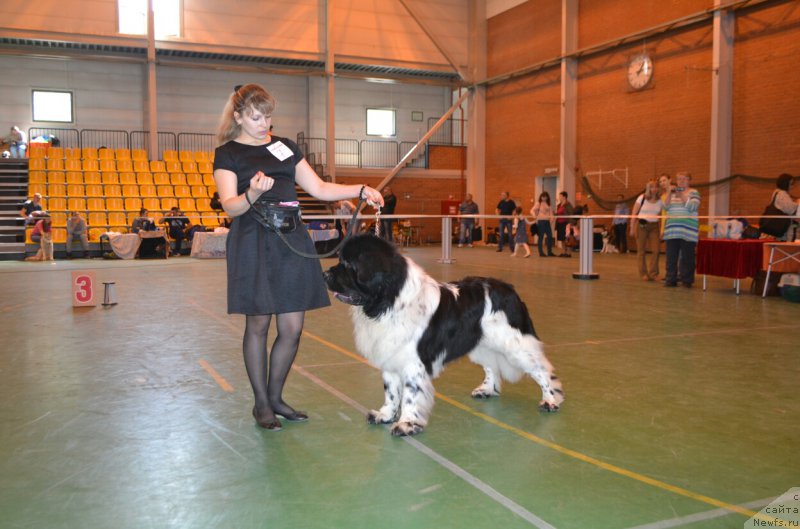 Фотография № 205503