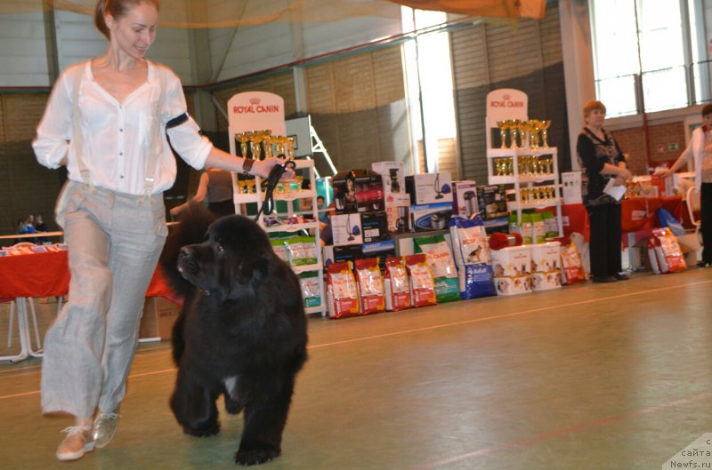 Фотография № 205504