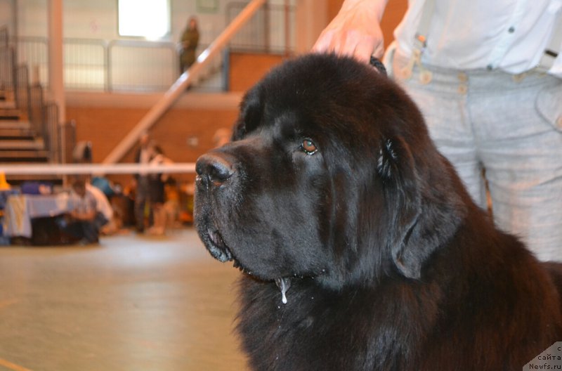 Фотография № 205506