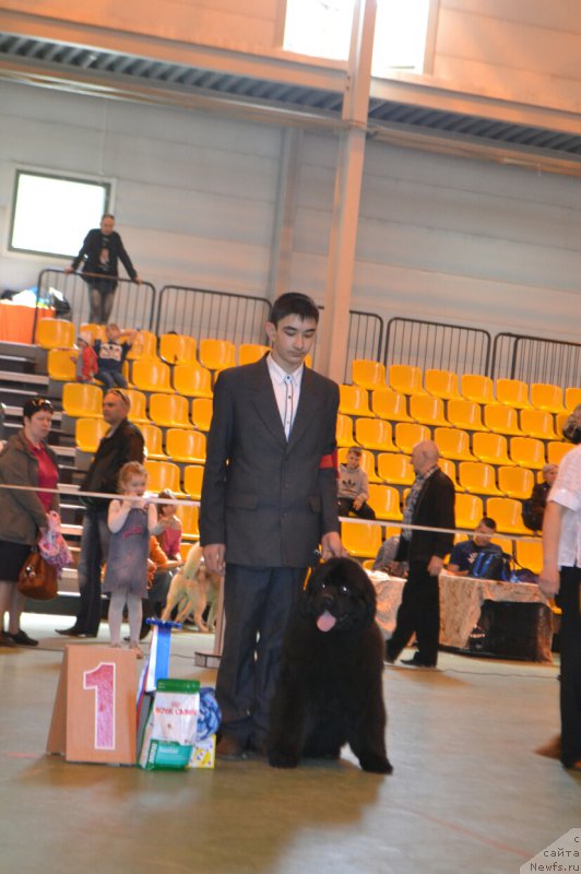 Фотография № 205507