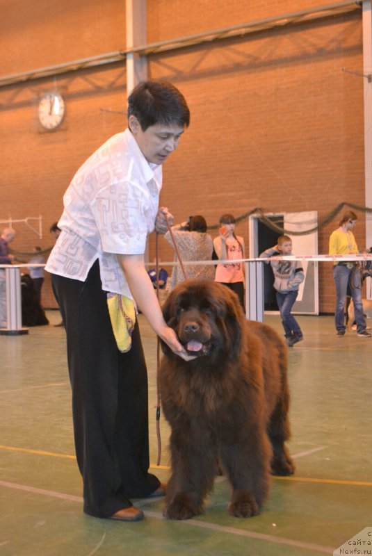 Фотография № 205509