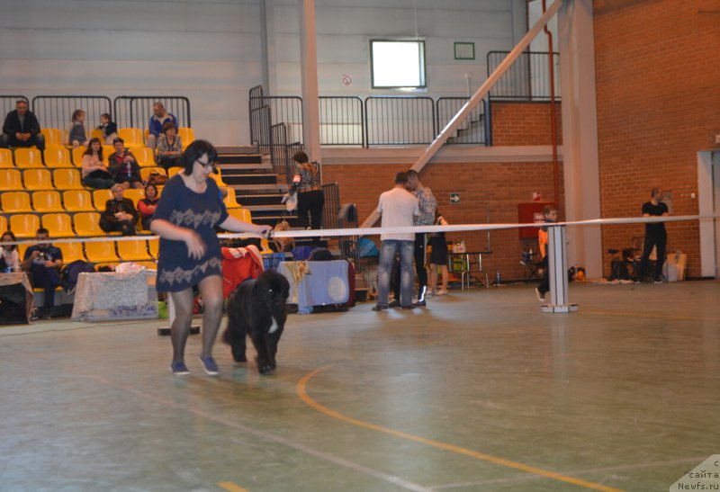 Фотография № 205512