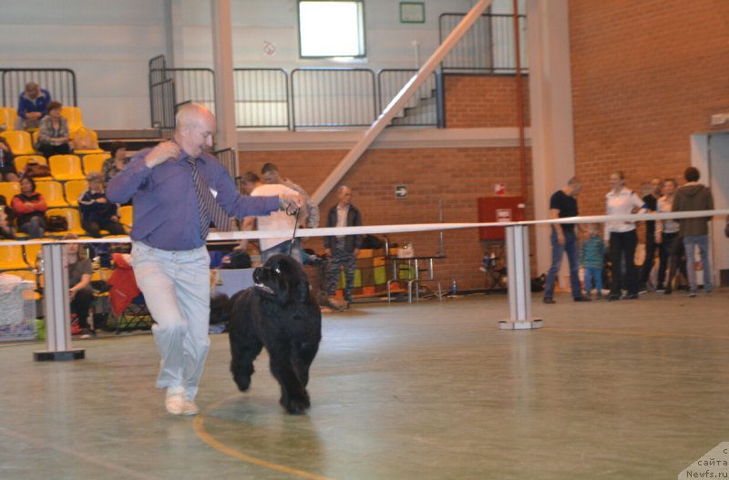 Фотография № 205515