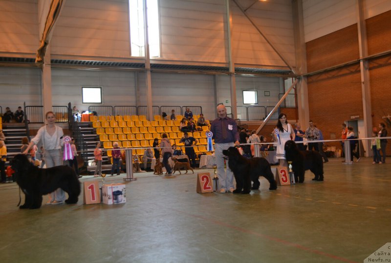 Фотография № 205516