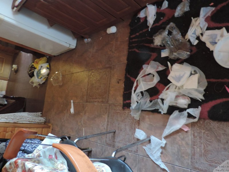 Фотография № 205520