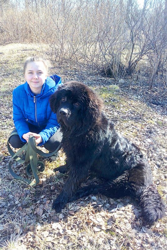 Фотография № 205526