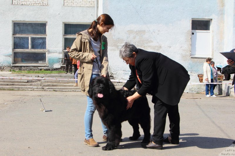 Фотография № 205530