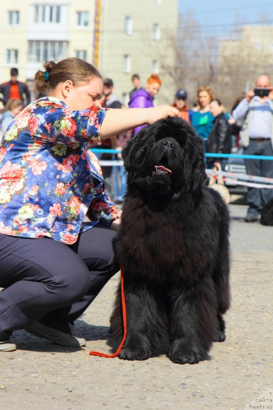 Фотография № 205536