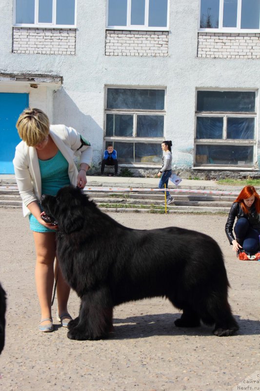 Фотография № 205537