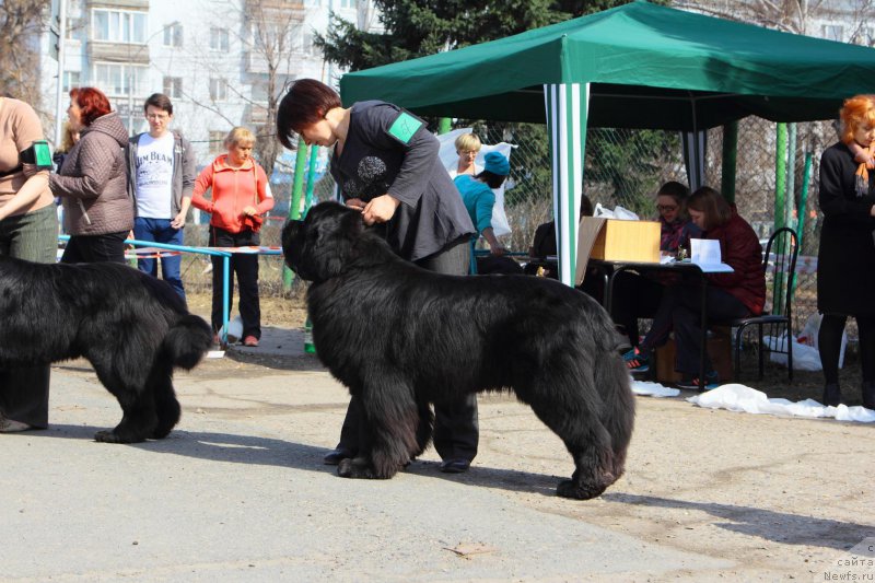 Фотография № 205538